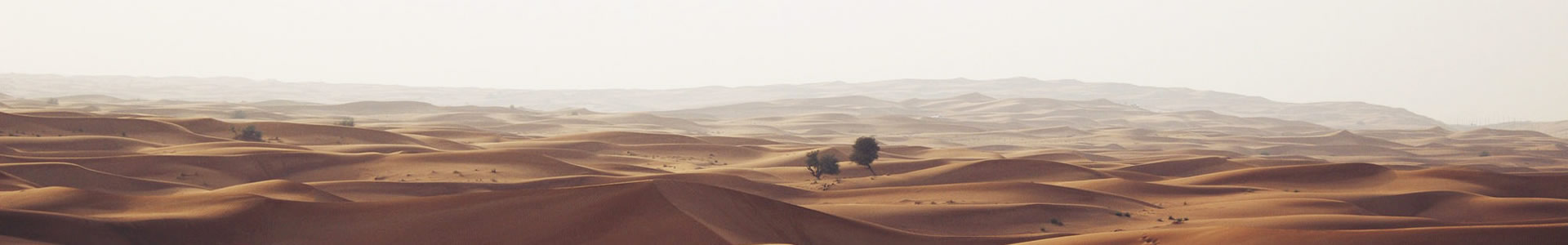 ά-Ƶ޹˾